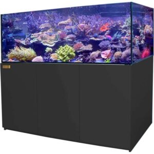 220 Gallon Coral Reef Aquarium Tank