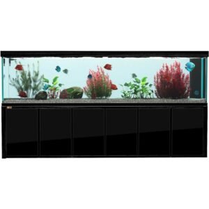 500 Gallons Tempered Glass Aquarium