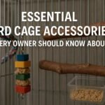 Essential Bird Cage Accessories Every Owner Should Know About