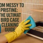 From Messy to Pristine: The Ultimate Bird Cage Cleaning Guide