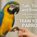 Talk, Trick, and Bond: The Complete Guide to Train Your Parrot